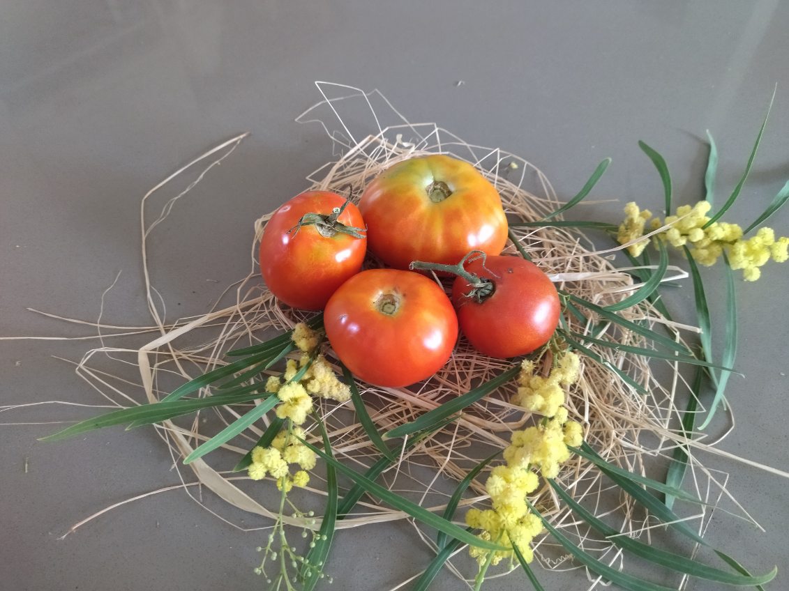 Tomates diverses variétés